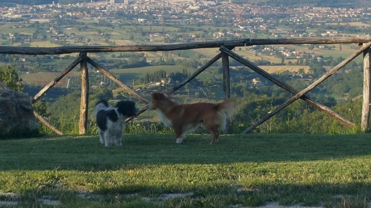 Agriturismo Countryhouse Le Giare Γκούμπιο Εξωτερικό φωτογραφία