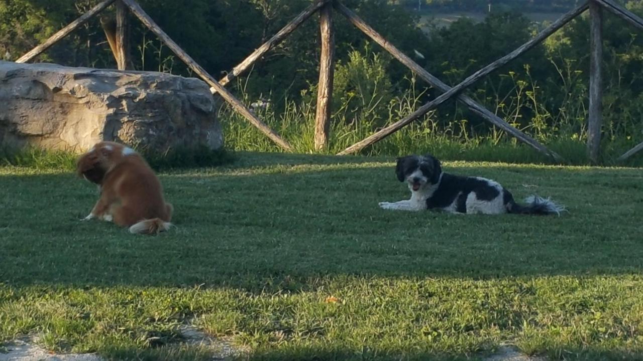 Agriturismo Countryhouse Le Giare Γκούμπιο Εξωτερικό φωτογραφία